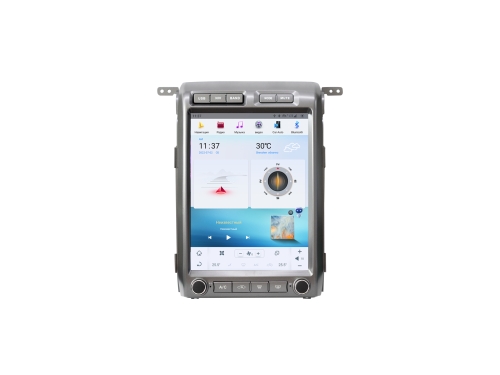 Штатная магнитола Carmedia для Ford F150 2009-2014 на Android (ZF-1307A-DSP)