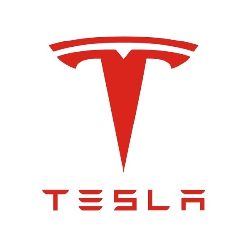 Комплект доводчиков Tesla на 4 двери (AA-RL-TESL-3)